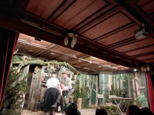 ff931ff5-227d-48ac-a11f-81b424e893ff