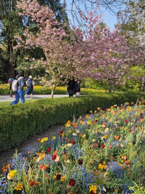 02ae40e9-2e98-4d3e-b23d-e914ebb0aab3