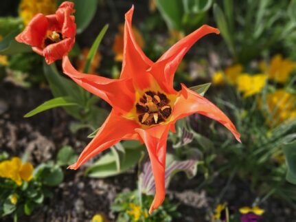 02eacc8f-ce6e-4c47-ac70-7900d3910f3f