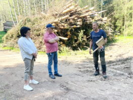 1Hell-Mehlhart-Stein