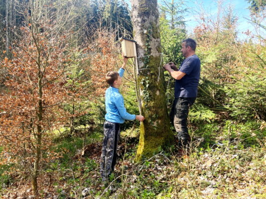 1Nistkasten-Anbringen