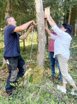 1Nistkasten-Stein-Mehlhart-Hell