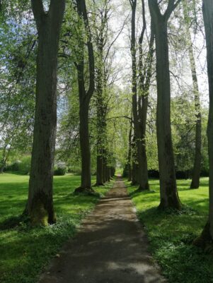 419d0f19-541c-4bf2-867c-07f0de2ed5c3