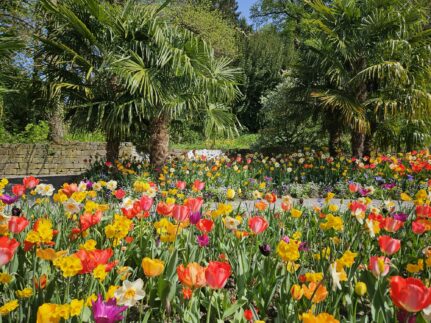 8fbb11e8-1d3c-46e2-8d8b-37faf995cb5b