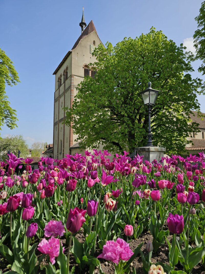 9217c8d1-1317-4dc3-bd65-4a41f1ea8d7c