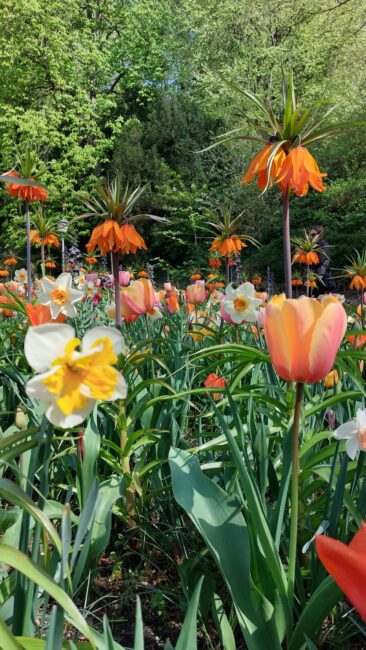 99f9f7d6-d498-417b-9433-e908a774e5f3