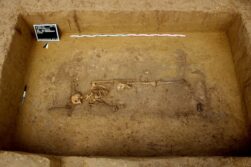 Reiterfuerst von Bayerbach (3)