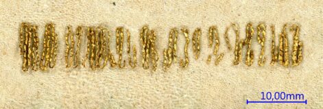 Reiterfuerst von Bayerbach (5)