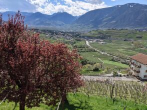 Ausflugstipp Südtirol: Schenna