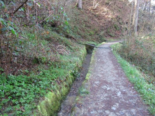 Ausflugstipp Südtirol: Schenna