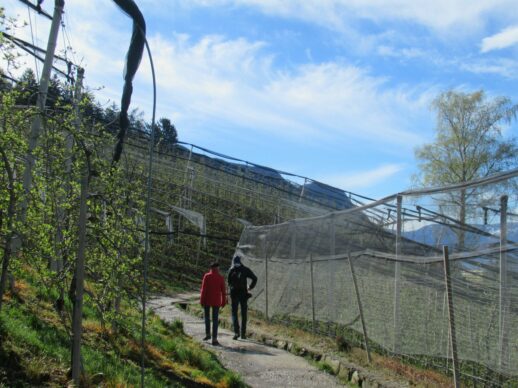 Ausflugstipp Südtirol: Schenna