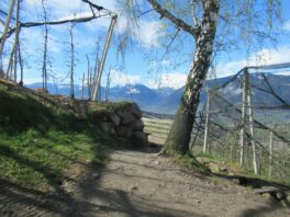 Ausflugstipp Südtirol: Schenna