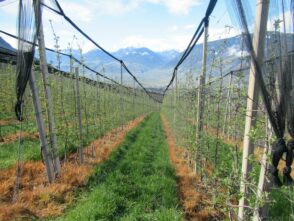 Ausflugstipp Südtirol: Schenna