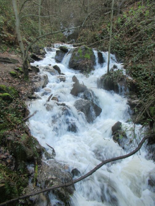 Ausflugstipp Südtirol: Schenna