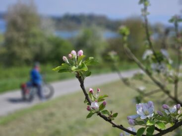 b296bec7-596b-49e8-ba22-577e8f620be6