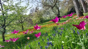 df54848e-58b1-421f-98b9-6aba1390954f