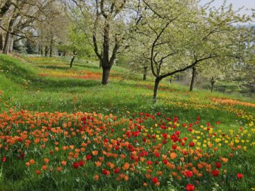 ecfbfa44-578a-4cea-8703-85983583c72f