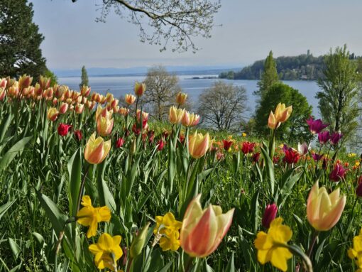 fc651148-0123-42ed-a4b7-cccbff9c8dc2