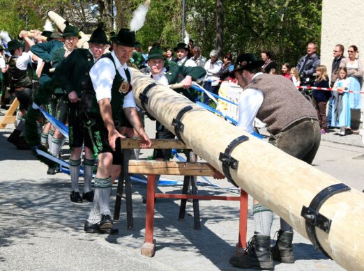 maibaum traunwalchen 2