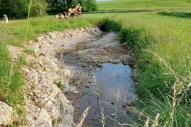 Ein Wiesengraben wurde zur Hochwasserrückhaltung aufgeweitet
