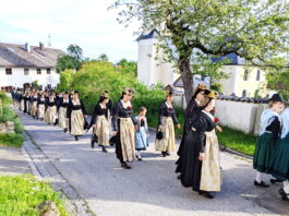 3a4d8535-e440-46d6-8b48-db1ca0f0b10c