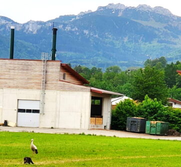 864b6dc4-5dcf-489e-a25c-c24d4eb3e226