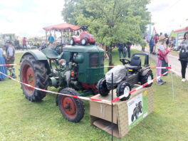 a11bae44-e6b6-4767-bd1b-e30414ef0913