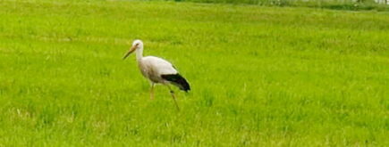 ad74c4c8-4f3d-4ea5-92ed-b8479f368089