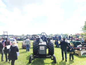 fe898f23-7b88-44fd-bd69-02781e4af650