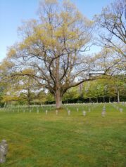 k-ig rosenheim luxemburg06a