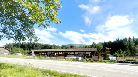 1Sägewerk Baumgartner 2