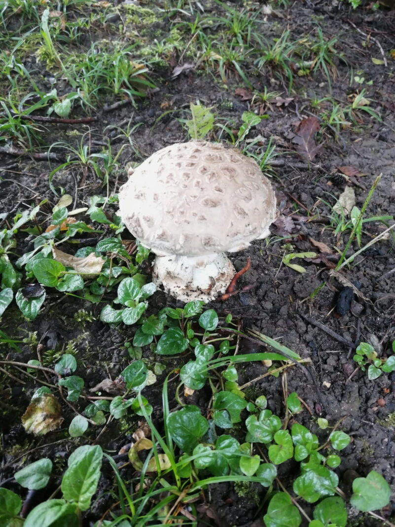 7cd758c5-58f0-40c5-b9ca-d4c493b13fa0