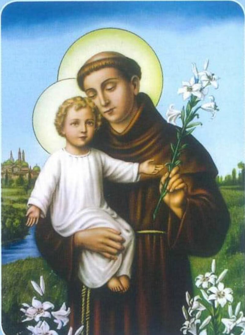 9090338d-b994-499c-aca6-c6cee4b353a0