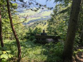 Halbtagestour unter der Zwillingswand