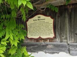 Halbtagestour unter der Zwillingswand