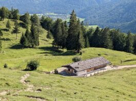 Halbtagestour unter der Zwillingswand