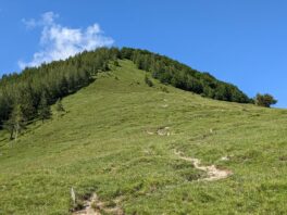 Halbtagestour unter der Zwillingswand