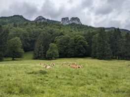 Halbtagestour unter der Zwillingswand