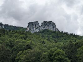 Halbtagestour unter der Zwillingswand