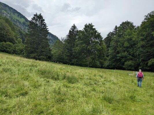 Halbtagestour unter der Zwillingswand