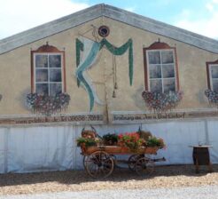 ca0bd195-eddd-4481-befd-a7df0fb7b801