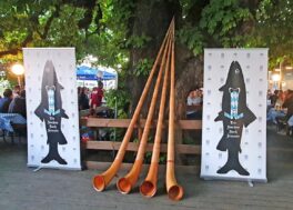 20240514_205051_m_Amberger