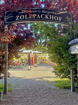 Alphorn_Bogen_m_Seidl