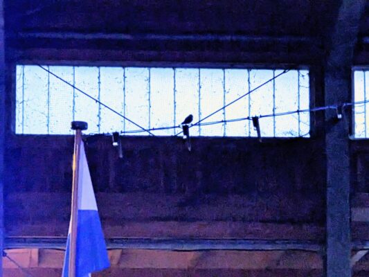 Klassik in der Bootshalle