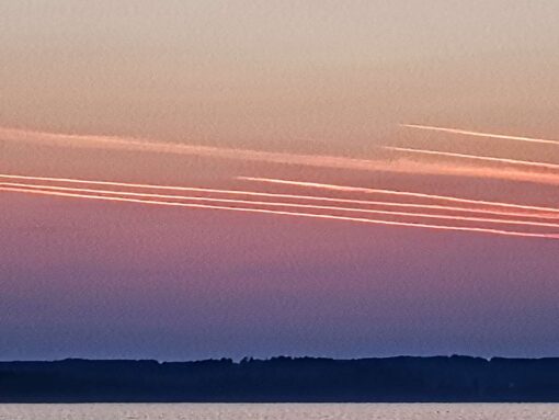 00abfaa5-e55b-4ca3-9b14-6c4cfb1b7323