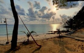 20240326_072347_m_Amberger