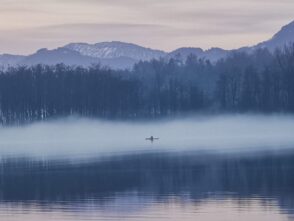 2da941a7-acdd-4ceb-9716-cc966d136d93