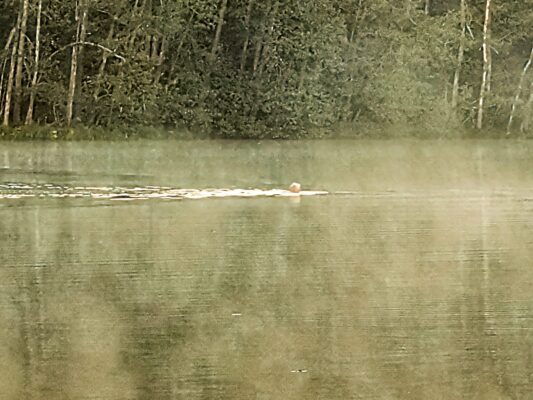 34474f07-0453-447e-ae87-71378106085c