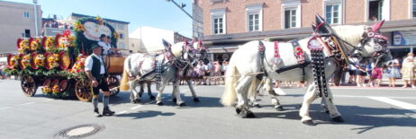 4d163cff-b8c8-4659-ab22-b85d1c090c6c