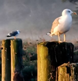 5b6f05a8-a2df-4c67-9b5b-0f2d03bcb596